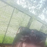 justynazaza