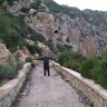 Amrioudjaaf