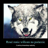 PrzemEkTarka