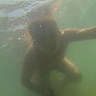 Vitaliimu