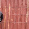 dawid19912