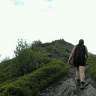 Ceglasta