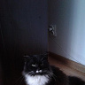 SochaMa