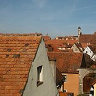 KoscieleckiM