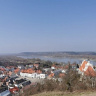 Niezapowiedziana