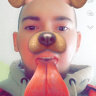 StecK