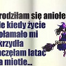 SenNocy44