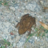 alwaro96