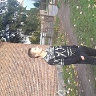 mikolaj