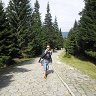 MarekMatuszczak
