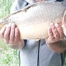 ArturWaszak