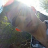 Dariusss95