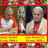 adamhebel8548o2p