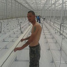 BumbulS