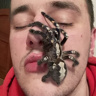 Warkens