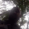 QbaL