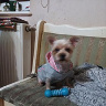 Wredna34