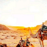 HadjalA