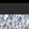 Skrajny87