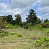 RafalDabrowski1