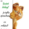 Effka8985