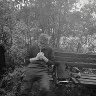 Dominik19592
