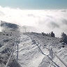 marcinmarcin12121