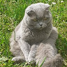 Maxymiljan
