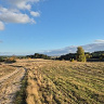 Krzysztof54331