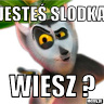 Wesolyfacet35