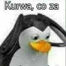 PrzybulowskiG