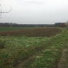 Tomek6678788