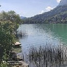 Witolt
