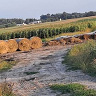 CzajkowskiDa