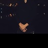 Tomasz36969