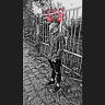 JOOJEEK19008