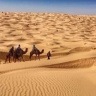 MerzougMontasar