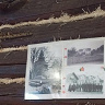 PiotrTurek1