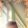 Hotmatipl
