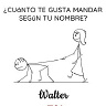 WalterNa