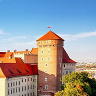 Tomek0804