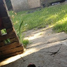 JurekOgorek4