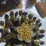 Mohamedbelmkadem