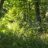 WujekWlladek