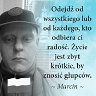 SztejnM