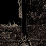 Dominiknowak12393