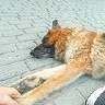 Tomek21152004