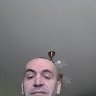 RadoslawDo