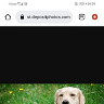 Kononiuk1gmailco