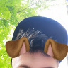 ApselK